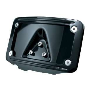  LAYDOWN CURVED LICPLT FRM BLK Automotive