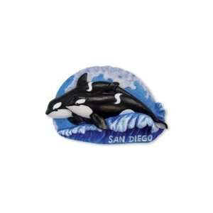 Killer Whales San Diego Magnet