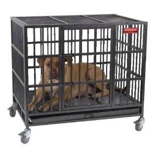   48 Aluminum Dog Box Double Door with Divider and Floor Automotive