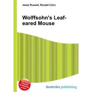  Wolffsohns Leaf eared Mouse Ronald Cohn Jesse Russell 
