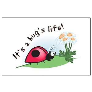  Ladybugs Life   Cute Mini Poster Print by  