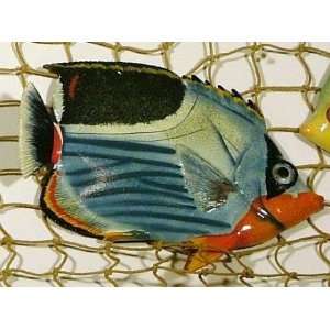   Tropical Saddlefish Fish TiKi Sea Life Bath Wall Decor
