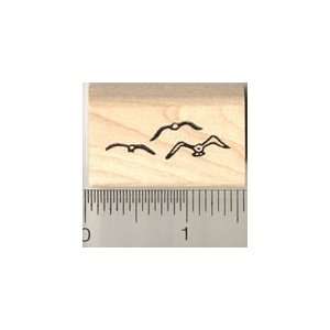  Small Flock of Seagulls Rubber Stamp