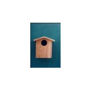  Cabin Fever Owl Box