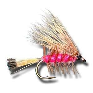 Palmered Caddis   Pink Fly Fishing Fly 