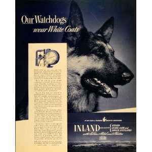   Division German Shepherd   Original Print Ad