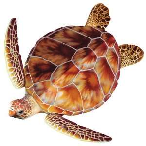  Aqua Decal Loggerhead Turtle Group