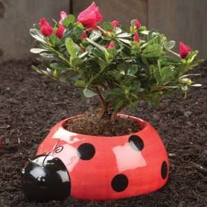  Ladybug Planter Stand Patio, Lawn & Garden