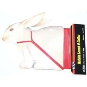  VIP Rabbit Safety Leash and Collar
