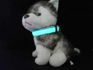 COLOR LED Pet Dog Safety Collar Changeable Flashing Light Size S M L 