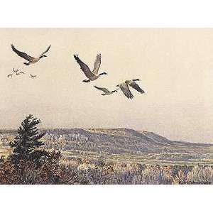  Robert Bateman   Canada Geese Over the Escarpment