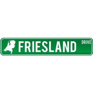 New  Friesland Drive   Sign / Signs  Netherlands Street 