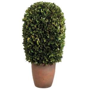  Faux 9Dx18H Preserved Boxwood Ball Topiary in Pot Green 