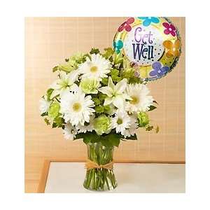 Flowers by 1800Flowers   Serene Green   Get Well   Small  