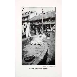  1927 Print Holy Cow Street Bombay India Cityscape Idol 