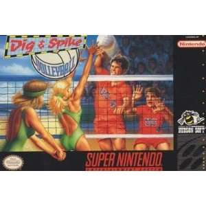  Dig & Spike V Ball Video Games