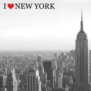  I Heart New York Empire State 12 x 12 Paper Sports 
