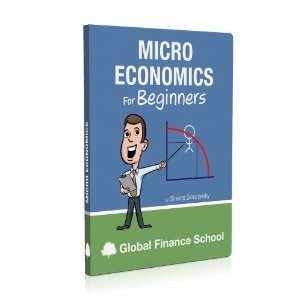  Micro Economics for Beginners   Ebook Software