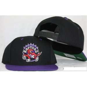  Toronto Raptors Snapback Authentic Hat