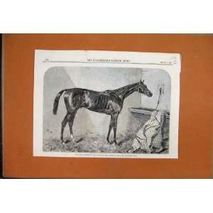  1886 The Duke Racehorse Winner Goodwood Brighton Cup