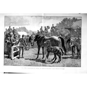  1885 Paddock Horses Sale Brood Mares Foals Fine Art