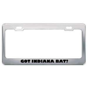 Got Indiana Bat? Animals Pets Metal License Plate Frame Holder Border 
