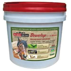  Horse Supplements   Complete Natural   Organic Equine Supplements 