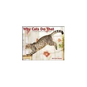  Why Cats Do That 2010 Wall Calendar