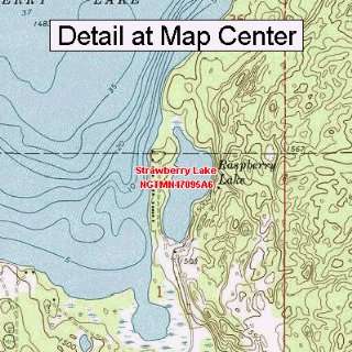 USGS Topographic Quadrangle Map   Strawberry Lake, Minnesota (Folded 