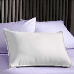 Extra Firm 3 inch Gusset Natural Pillows (Set of 2)  
