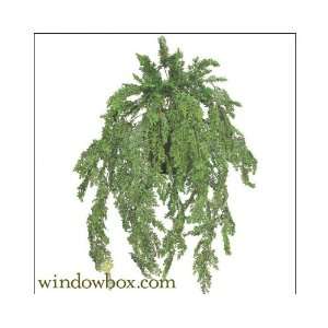  Artificial Asparagus Fern Outdoor Rated