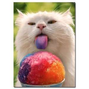  Cat and Snowcone Belated Birthday Card Health & Personal 