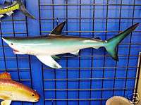 28 Shark Mount Fish Decor Art Sculpture Wall nautical  