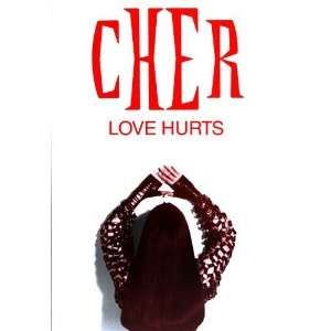  Cher   Love Hurts   Oben 1992   CONCERT   POSTER from 