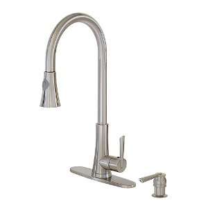 FREUER Bella Di Fresco Collection Pull Out Spray Kitchen Sink Faucet 