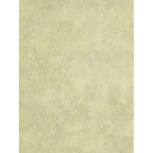  Wallpaper Steves Color Collection   Green BC1581741