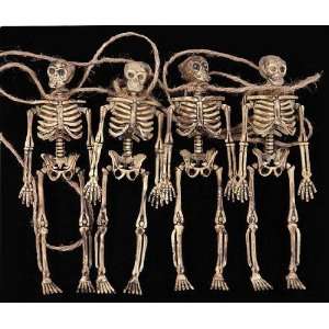  Spooky Fun 24 Skeletons for Halloween Decorating 