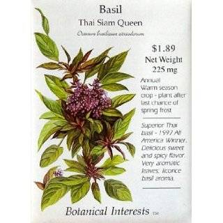Basil Thai Siam Queen Heirloom Seeds 150 Seeds