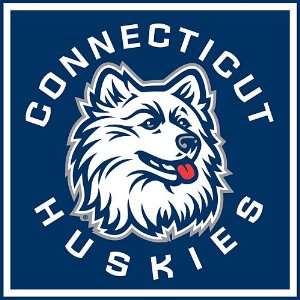  Connecticut Huskies Paper Cube