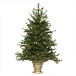  3.5 Pre Lit Potted Redwood Christmas Tree   Clear Lights 
