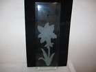etched glass panel  