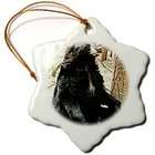 3dRose LLC Wild animals   Black Bear   Ornaments