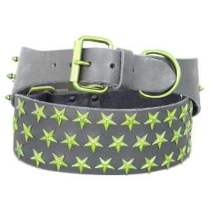  Platinum Pets Genuine Leather Big Dog Collar With Lime 