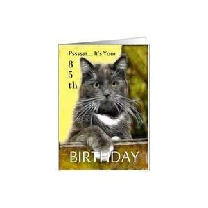    Birthday ~ Age Specific 85th ~ Cat in a box Card Toys & Games
