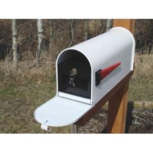   Locking Mailbox Insert   With New White Mailbox