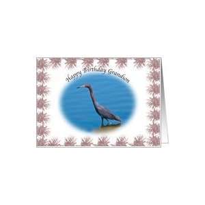 Grandson Birthday with Little Blue Heron Card