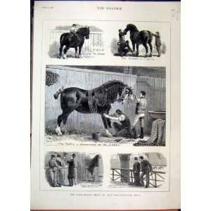  Cart Horse Show 1880 Agricultural Hall Judging Print