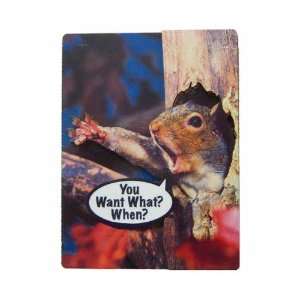   You Want What? When? (Magnets) (Squirrel Lovers) 