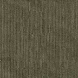  54 Wide Featherwale Corduroy Spanish Moss Fabric By The 