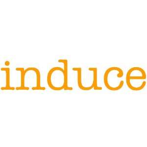  induce Giant Word Wall Sticker